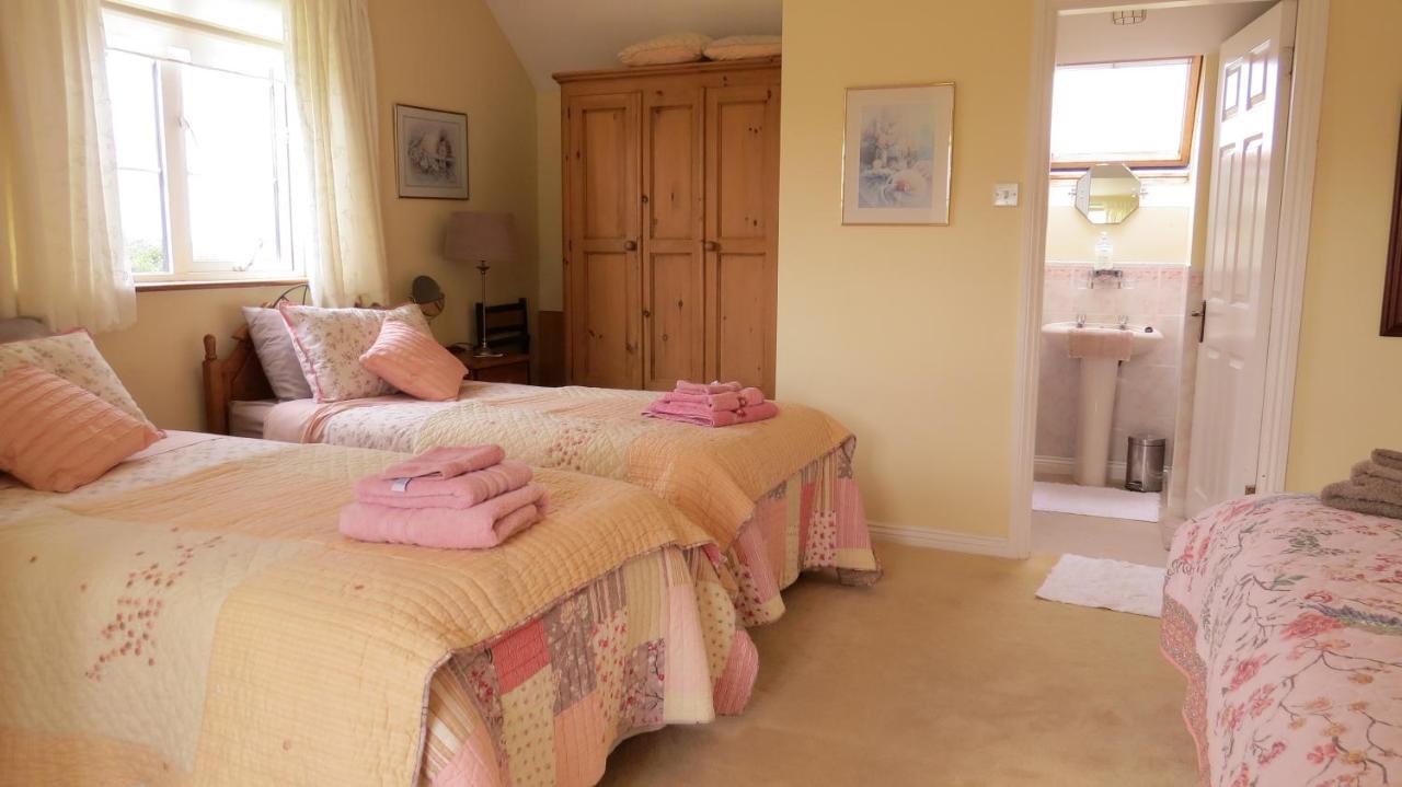 Bed and Breakfast Tyreda Ennis Exteriér fotografie